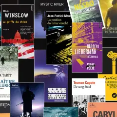 Une mosaïque de couvertures de livres, dont certains des meilleurs polars comme "La griffe du chien" de Don Winslow et "Le maître des illusions" de Donna Tartt.
