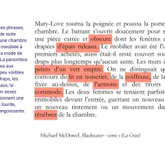 Description d'un livre exemple : une chambre obscure, drapée de lourds rideaux, meublée d'une commode et d'une armoire, dans une ambiance pesante.