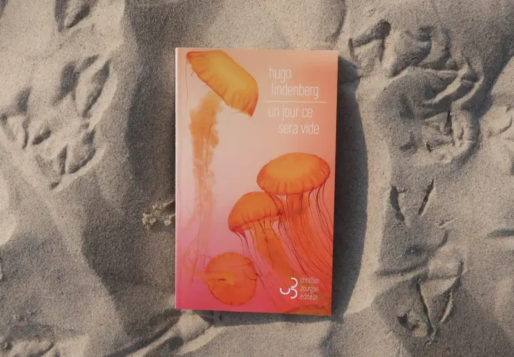 Livre "Un jour ce sera vide" de Hugo Lindenberg sur le sable, avec des traces d'oiseaux. Une méditation sur le temps qui passe.
