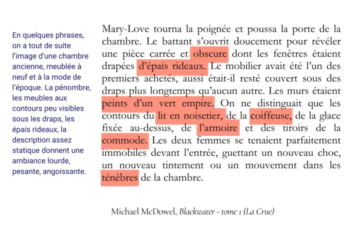 Description d'un livre exemple : une chambre obscure, drapée de lourds rideaux, meublée d'une commode et d'une armoire, dans une ambiance pesante.
