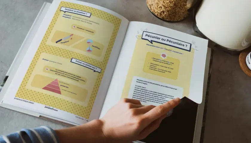 Un ebook explique la différence entre "perpétrer" et "perpétuer", et "pécuniaire" vs "pécunier".