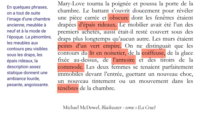 Description d'un livre exemple : une chambre obscure, drapée de lourds rideaux, meublée d'une commode et d'une armoire, dans une ambiance pesante.