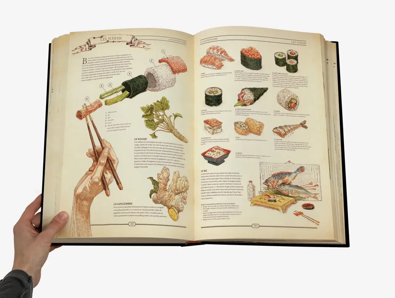 Présentation d'un livre sur les sushis, avec des illustrations détaillées des différents types de sushis, du wasabi, du gingembre et du riz.