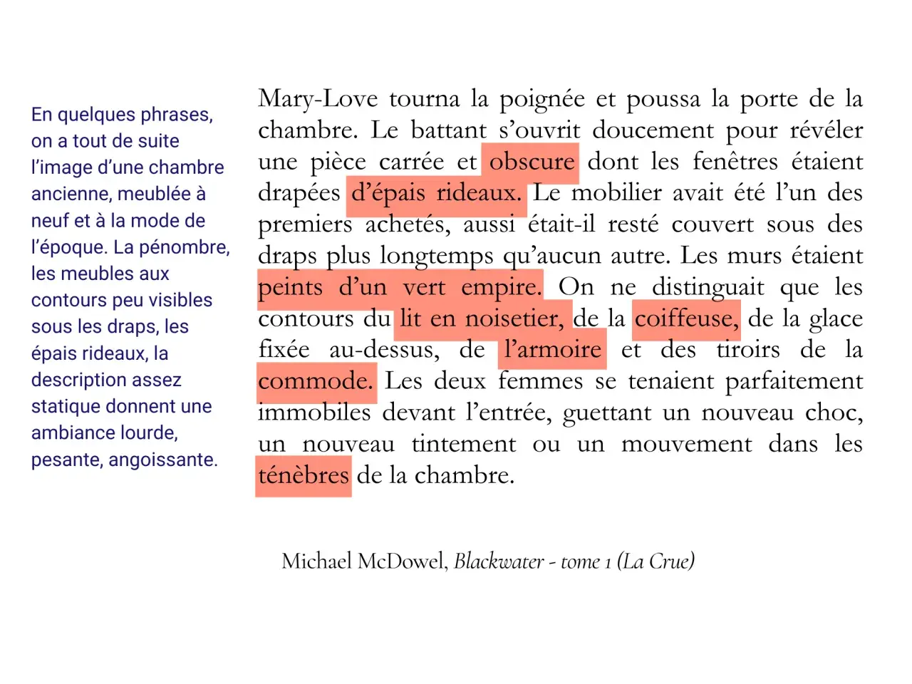 Description d'un livre exemple : une chambre obscure, drapée de lourds rideaux, meublée d'une commode et d'une armoire, dans une ambiance pesante.