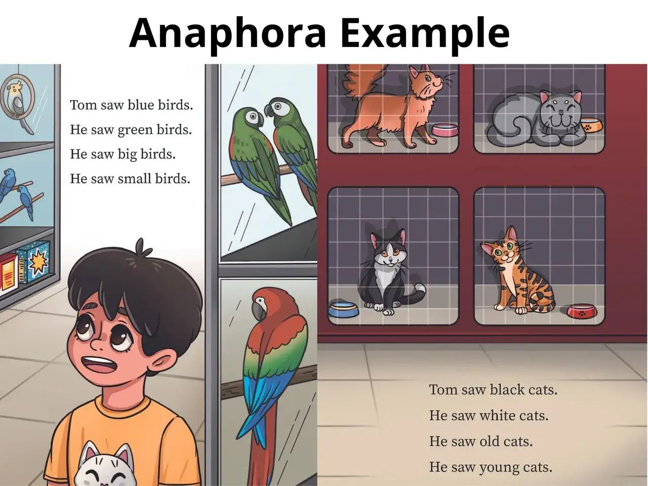Un garçon regarde des oiseaux et des chats dans des cages. L'anaphore effet produit est illustré par la répétition de