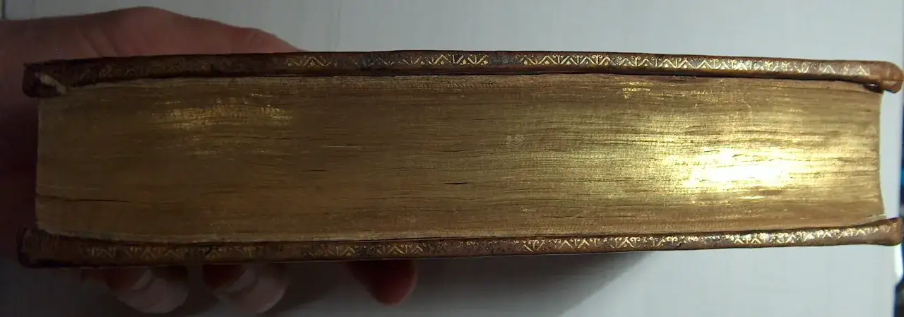 Une main tient un livre ancien dont la tranche est dor&eacute;e et orn&eacute;e de motifs. La tranche livre brille sous la lumi&egrave;re.